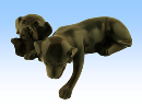 Hund, brons, 16 cm, liggande över kant